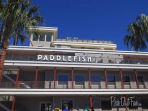 Disney Springs Paddlefish