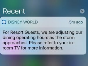 Disney Notification Irma
