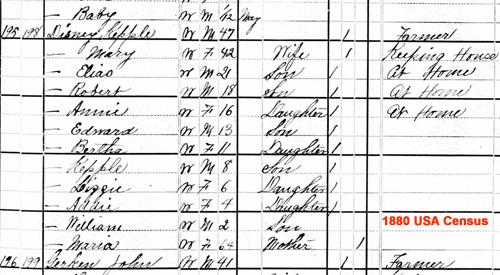 1880 Census USA - Kepple Disney