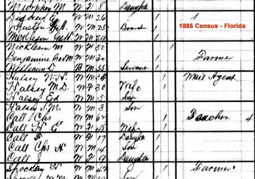 1885 Census Florida - Elias Disney