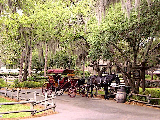 Fort Wilderness Settlement Horse and Carriage