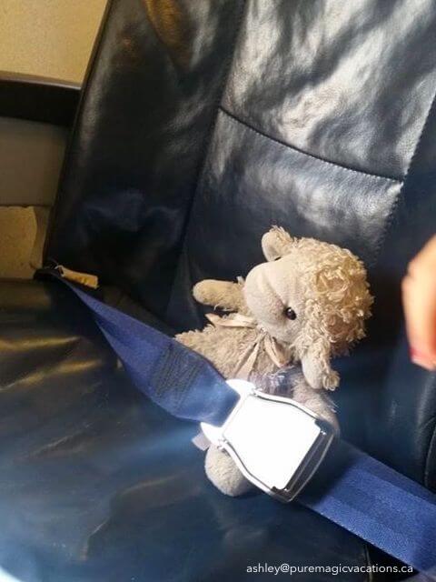 Stuffed Animal On The Plane to Disney